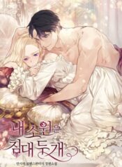 i-wish-i-could-have-two-beds-novel-1